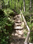 4.30.06 Hamilton Mountain 013 